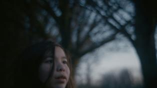 Wayfaring Stranger