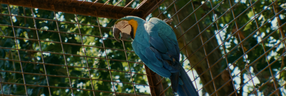 Jason R Moffat - Colour Grading