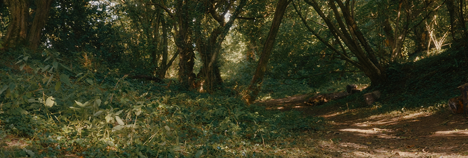 Jason R Moffat - Colour Grading Jason R Moffat - Colour Grading