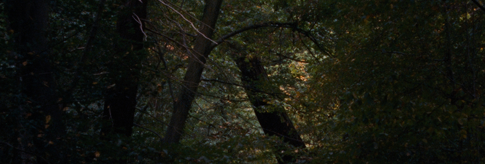 Jason R Moffat - Colour Grading Jason R Moffat - Colour Grading