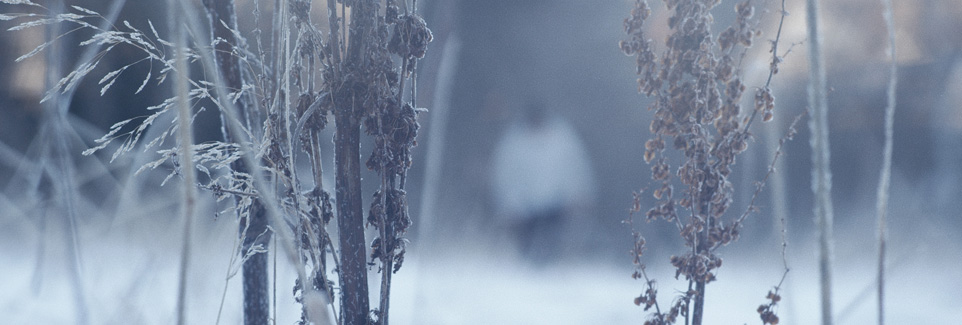 Jason R Moffat - Colour Grading